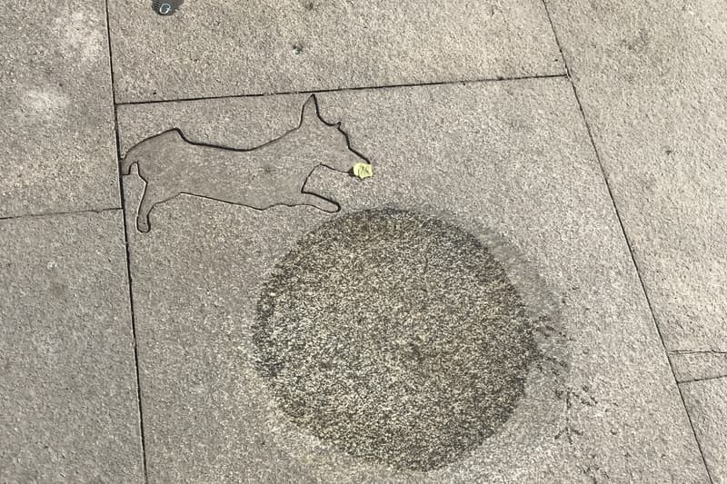 A circular dog drinking bowl set flush into the granite pavement at Plaza de Isabel II in Madrid, with the outline of a dog cut into the stone beside it