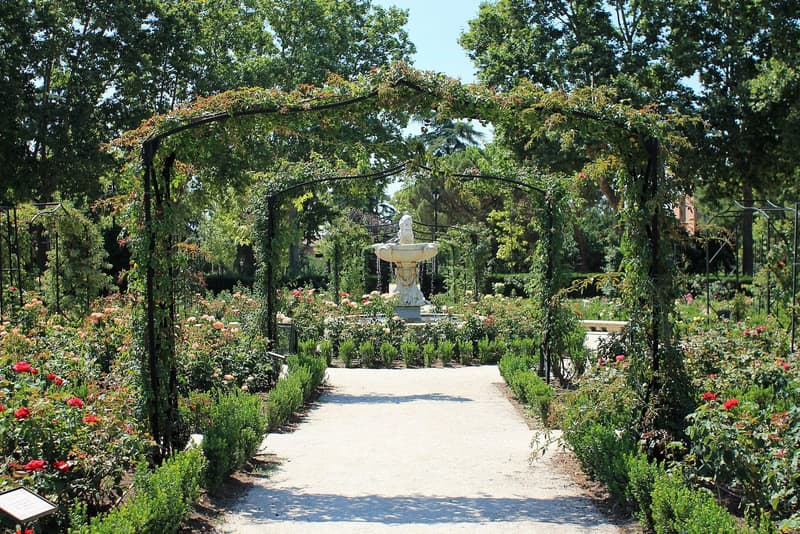 The Rosaleda in Parque del Retiro